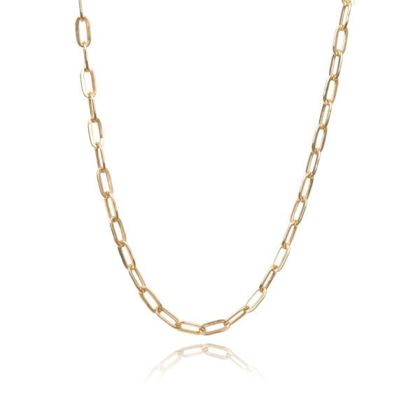 14 Ayar Altın Ataç Zincir Kolye