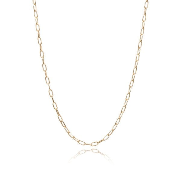 14 Ayar Altın Minimal Ataç Zincir Kolye