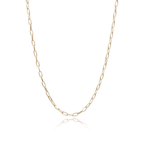 14 Ayar Altın Minimal Ataç Zincir Kolye