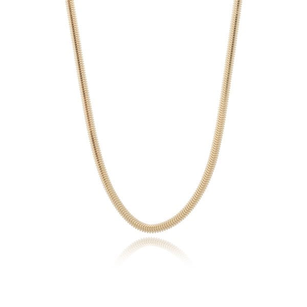 14 Ayar Altın Balıksırtı Zincir Kolye