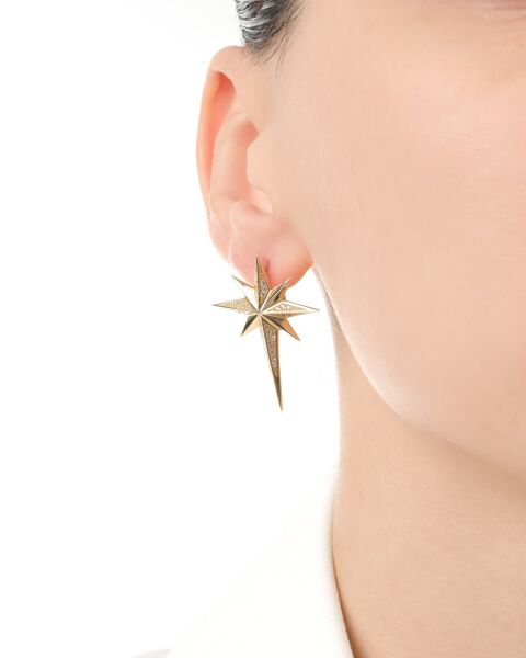 Ema 14 Ayar Altın Taşlı Kutup Yıldızı Küpe