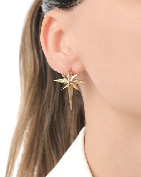 Ema 14 Ayar Altın Taşlı Kutup Yıldızı Küpe