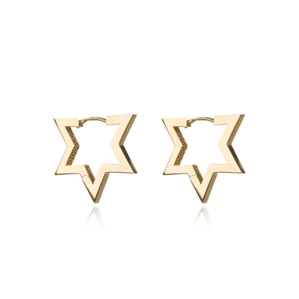 14 Ayar Altın Yıldız Küpe