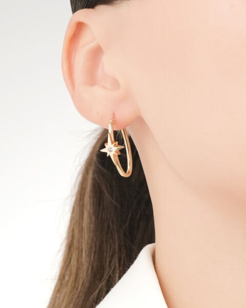 Cetaş Polaris 14 Ayar Altın Kutup Yıldızı Küpe