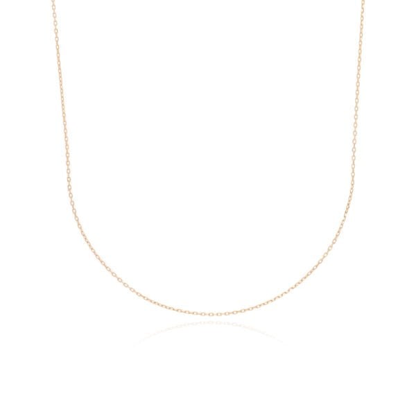 14 Ayar Altın Zincir Kolye