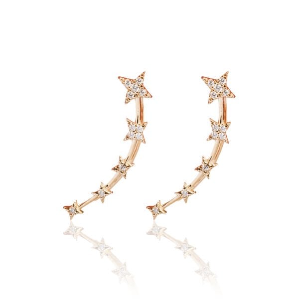 14 Ayar Altın Yıldız Taşlı Kulak Boyunca Küpe