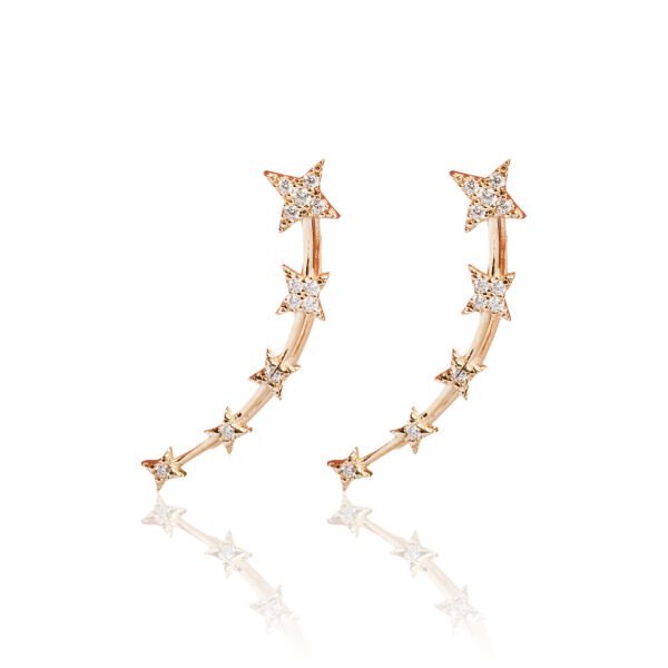 14 Ayar Altın Yıldız Taşlı Kulak Boyunca Küpe