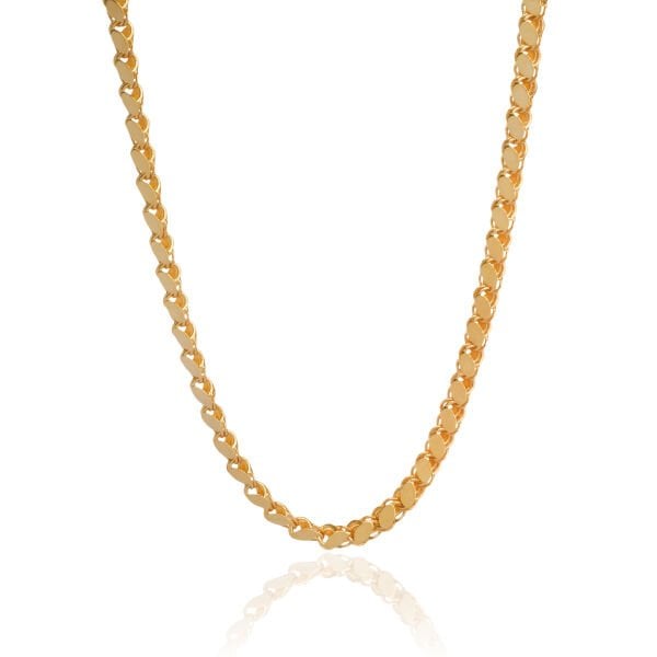 14 Ayar Altın İnce Pullu Zincir