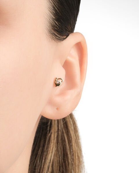 14 Ayar Altın Yunus Figürlü Taşlı Tragus Küpe