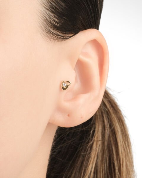 14 Ayar Altın Taşlı Yunus Tragus Küpe