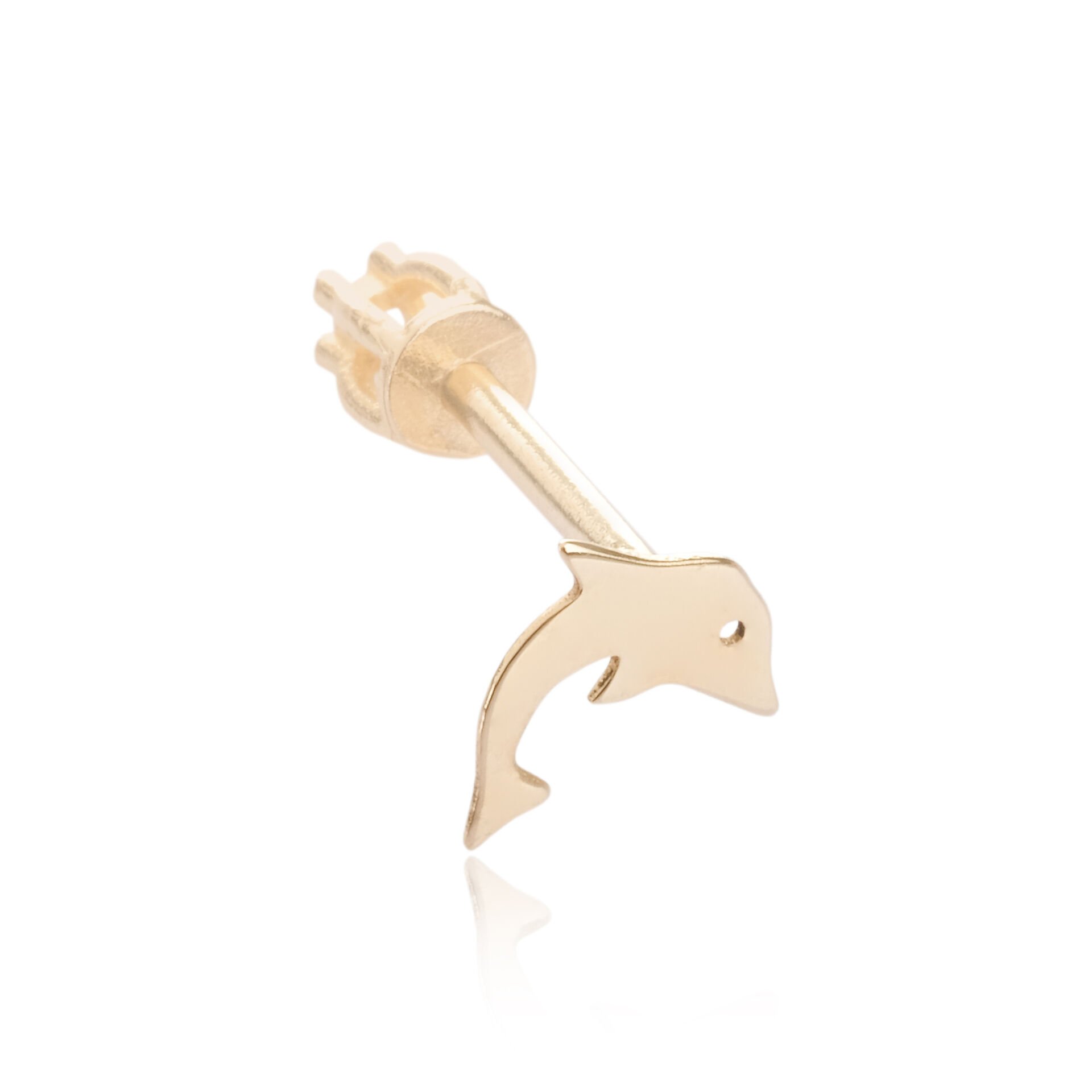 14 Ayar Altın Yunus Figürlü Tragus Küpe