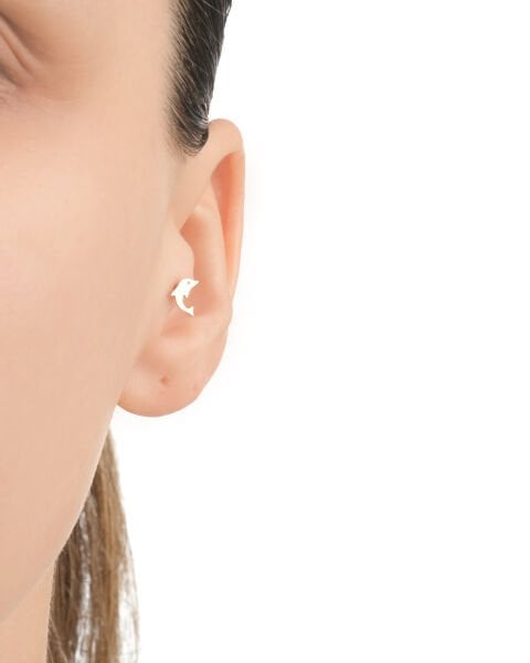 14 Ayar Altın Yunus Figürlü Tragus Küpe